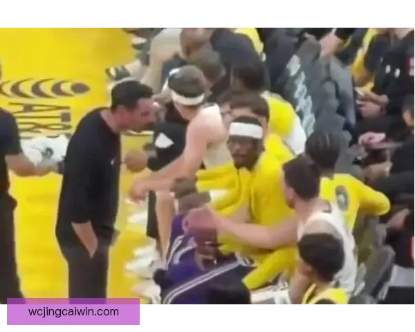 湖人大战篮网争议不断 雷迪克指篮网几乎每回合犯规并被罚27次 湖人大战篮网争议不断 雷迪克指篮网几乎每回合犯规并被罚27次