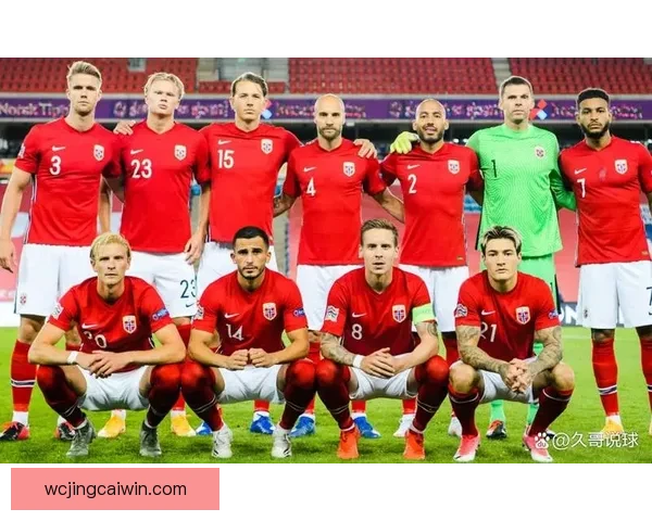 2026世界杯各大球队实力分析与前景预测