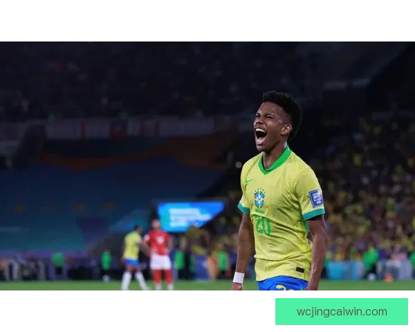 美洲三国联合举办世界杯赛事展望与影响分析